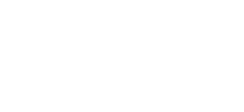 Pichit Dehydrating sheets for food